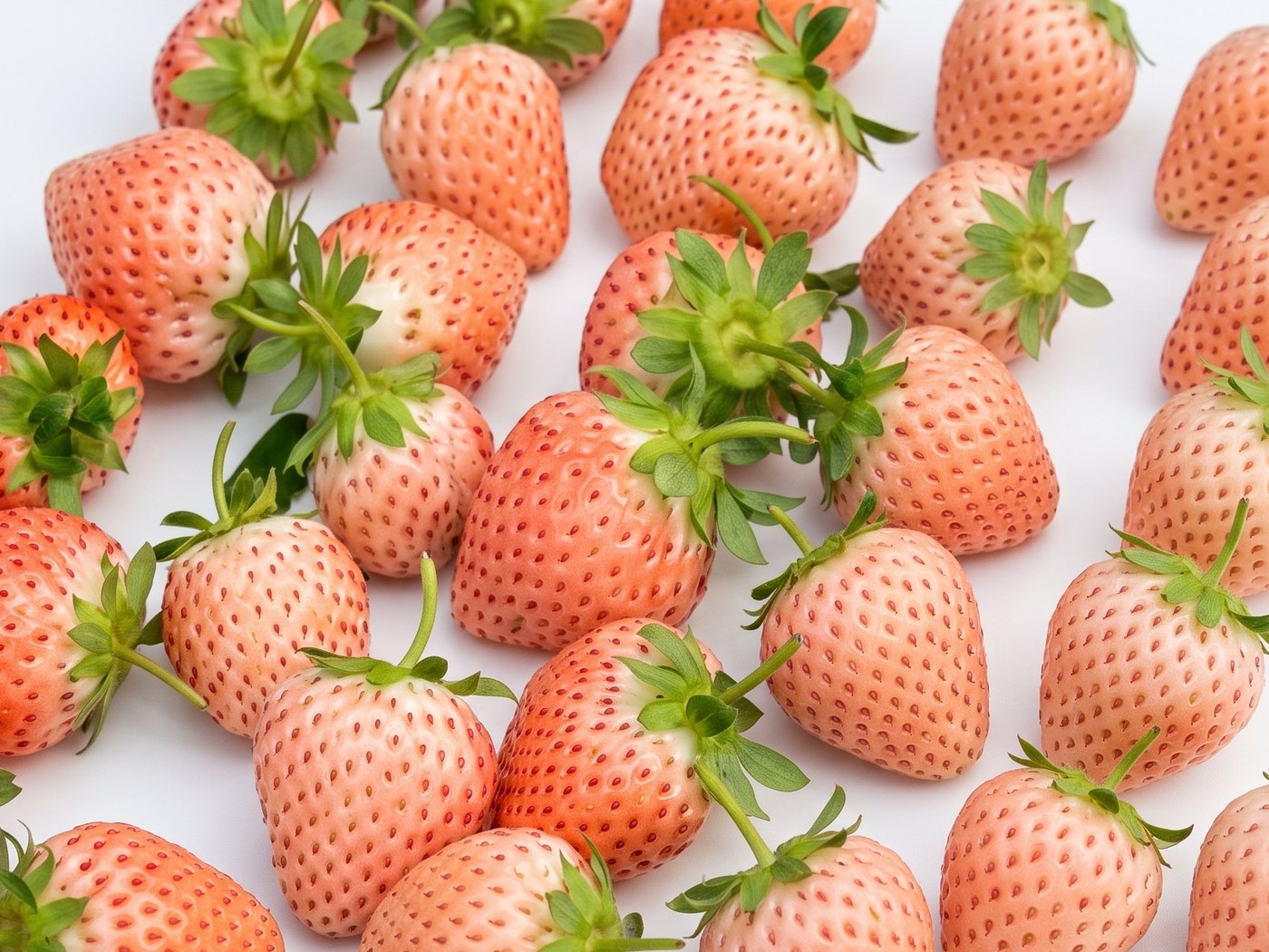 Hikari Blush, a tray of pale pink strawberries